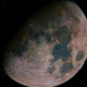 Meet your Posher, Ashleigh